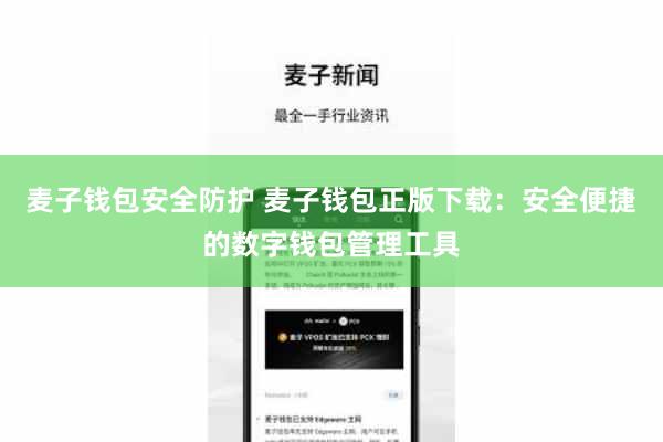 麦子钱包安全防护 麦子钱包正版下载：安全便捷的数字钱包管理工具
