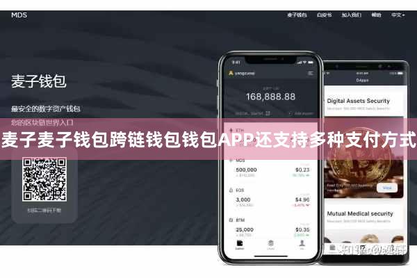 麦子麦子钱包跨链钱包钱包APP还支持多种支付方式