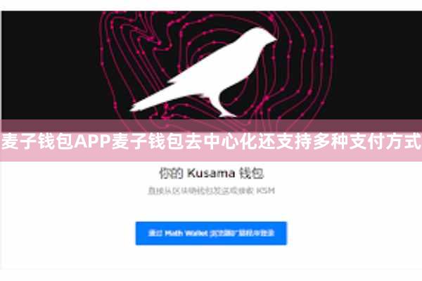 麦子钱包APP麦子钱包去中心化还支持多种支付方式