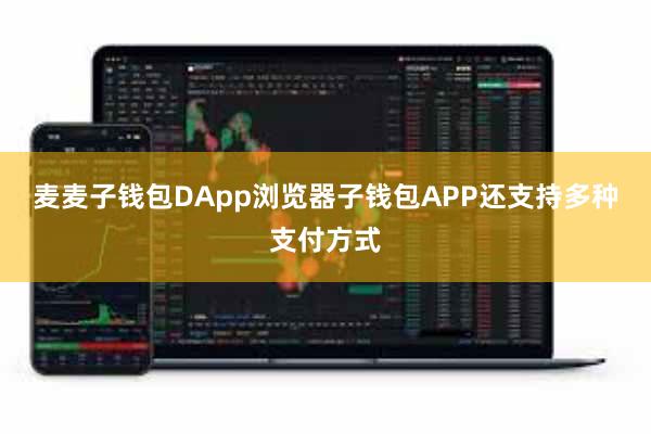 麦麦子钱包DApp浏览器子钱包APP还支持多种支付方式
