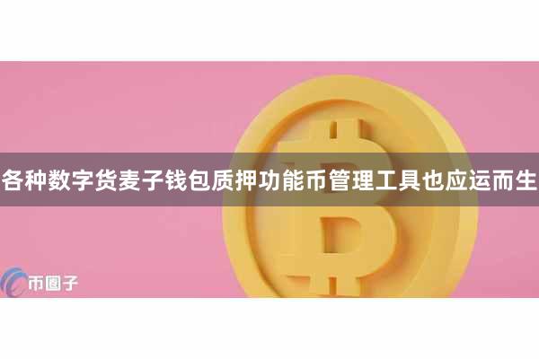 各种数字货麦子钱包质押功能币管理工具也应运而生