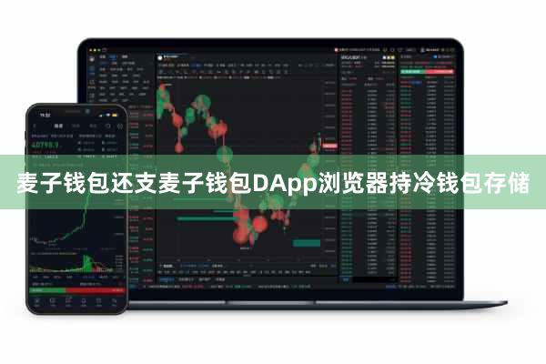 麦子钱包还支麦子钱包DApp浏览器持冷钱包存储
