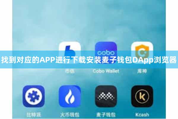 找到对应的APP进行下载安装麦子钱包DApp浏览器