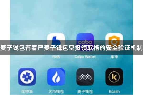 麦子钱包有着严麦子钱包空投领取格的安全验证机制