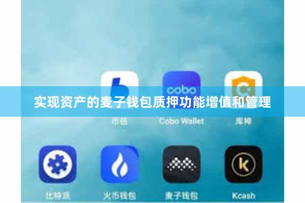 实现资产的麦子钱包质押功能增值和管理