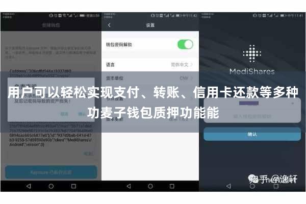 用户可以轻松实现支付、转账、信用卡还款等多种功麦子钱包质押功能能