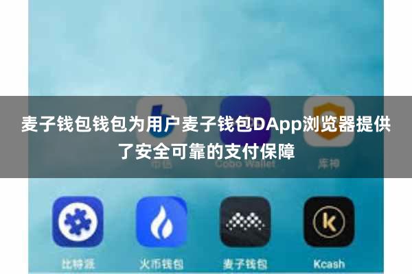 麦子钱包钱包为用户麦子钱包DApp浏览器提供了安全可靠的支付保障