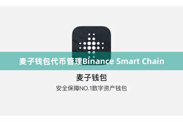 麦子钱包代币管理Binance Smart Chain