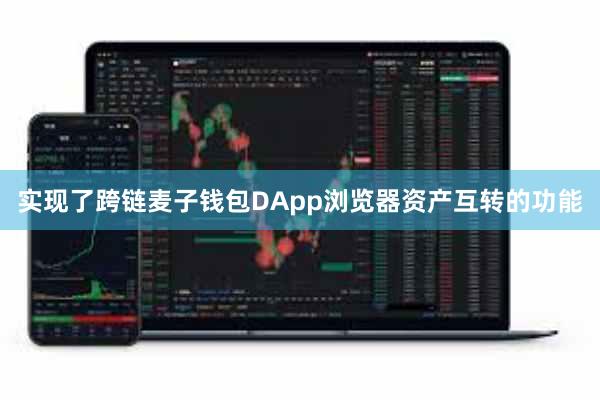 实现了跨链麦子钱包DApp浏览器资产互转的功能