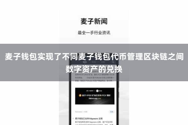 麦子钱包实现了不同麦子钱包代币管理区块链之间数字资产的兑换