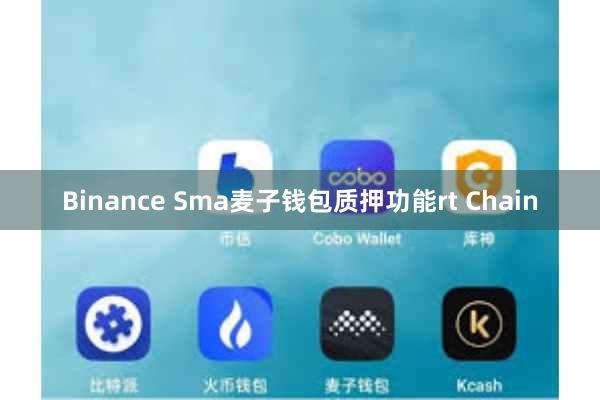 Binance Sma麦子钱包质押功能rt Chain