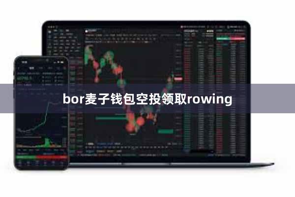 bor麦子钱包空投领取rowing