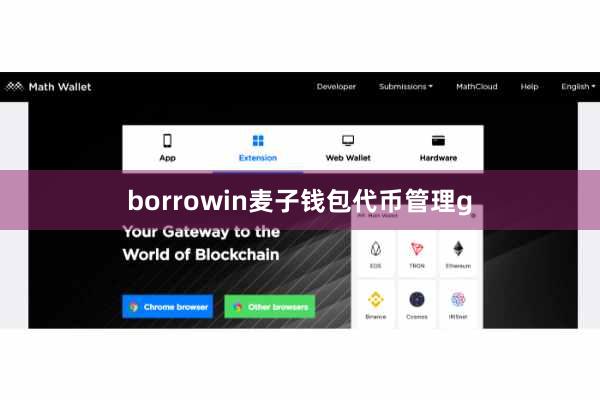 borrowin麦子钱包代币管理g