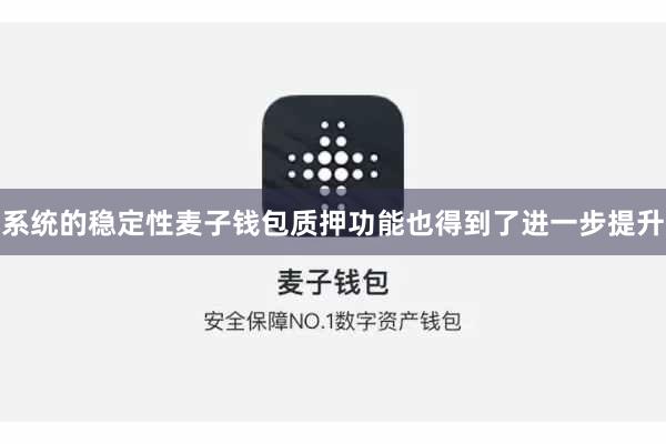 系统的稳定性麦子钱包质押功能也得到了进一步提升