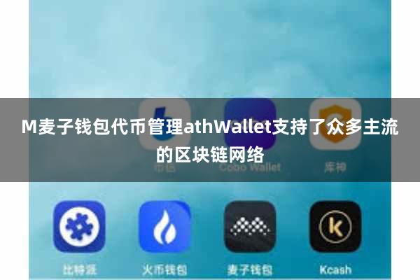 M麦子钱包代币管理athWallet支持了众多主流的区块链网络