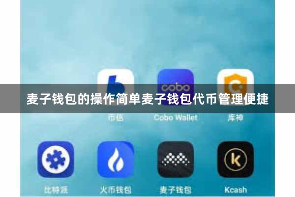 麦子钱包的操作简单麦子钱包代币管理便捷