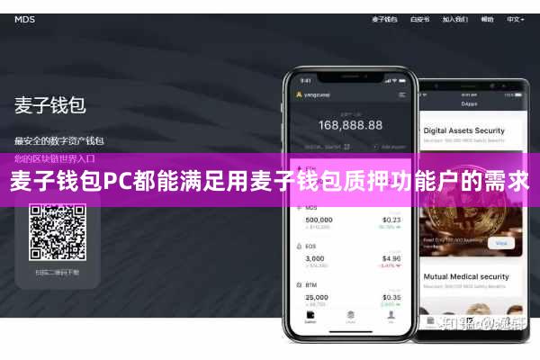 麦子钱包PC都能满足用麦子钱包质押功能户的需求