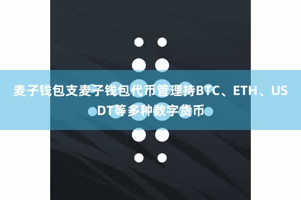 麦子钱包支麦子钱包代币管理持BTC、ETH、USDT等多种数字货币