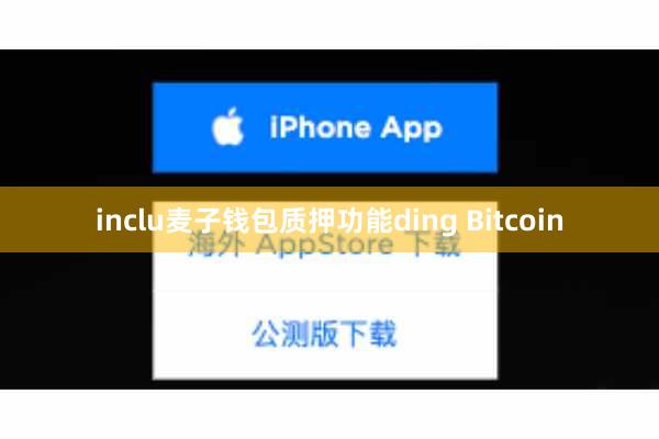 inclu麦子钱包质押功能ding Bitcoin