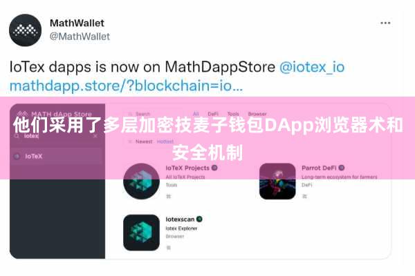 他们采用了多层加密技麦子钱包DApp浏览器术和安全机制